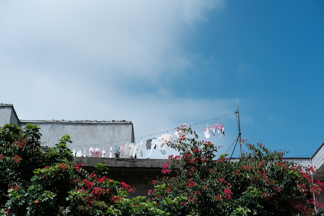 Pajemploi - Automatiser le bulletin de salaire de votre assistant