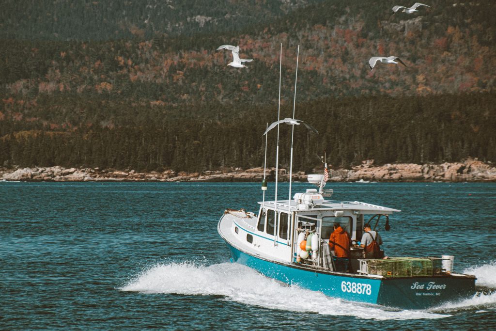 A fishing boat travels along the scenic coastline of Maine with seagulls flying overhead. Un bateau de pêche voyage le long de la côte pittoresque du Maine avec des mouettes volant au-dessus.
